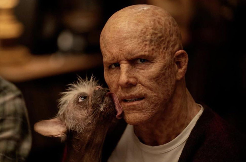 Ein Herz und eine Seele: Dogpool und Deadpool