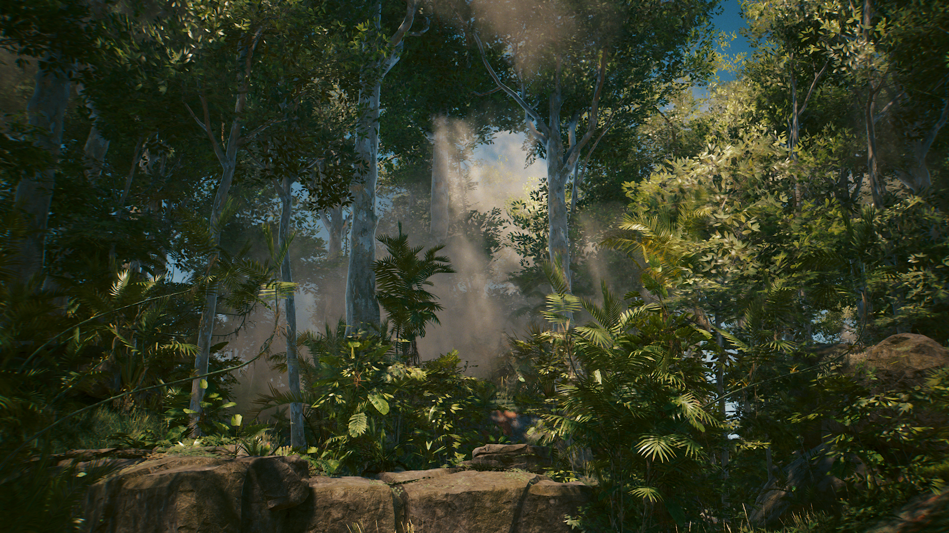 Werde eins mit der Natur und lass alle Gedanken los